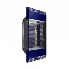 CAPSULE LIFT 006