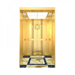 PASSENGER LIFT PL003(G)