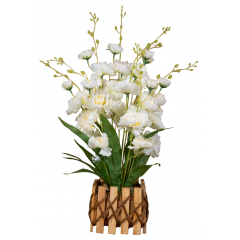 BASONTI AF-CHERI (BAMBOO BASE)