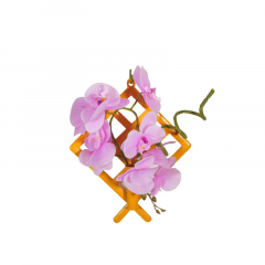 BASONTI AF-ORCHID (KITE HANG)