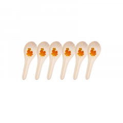 CRAZY SOUP SPOON- 6 PCS SET-JUNIPER