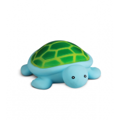 CUTE JOLLY TORTOISE