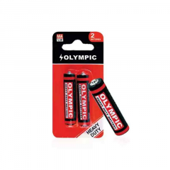 OLYMPIC REMOTE BATTERY