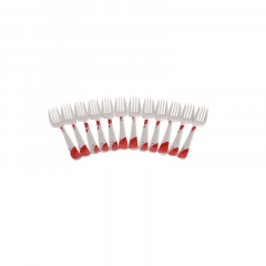 FORK SPOON 12 PCS SET -GLORY