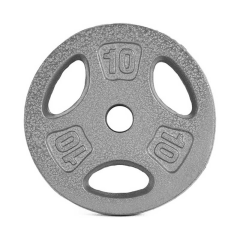 WEIGHT PLATE 10 KG-LOC