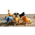 Small toys, car toy, girls’ toy, toy car, rfl toys, toy helicopter, price of toy in Bangladesh